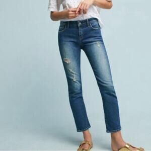 Anthropologie Pilcro Slim Straight Blue Jeans 28
